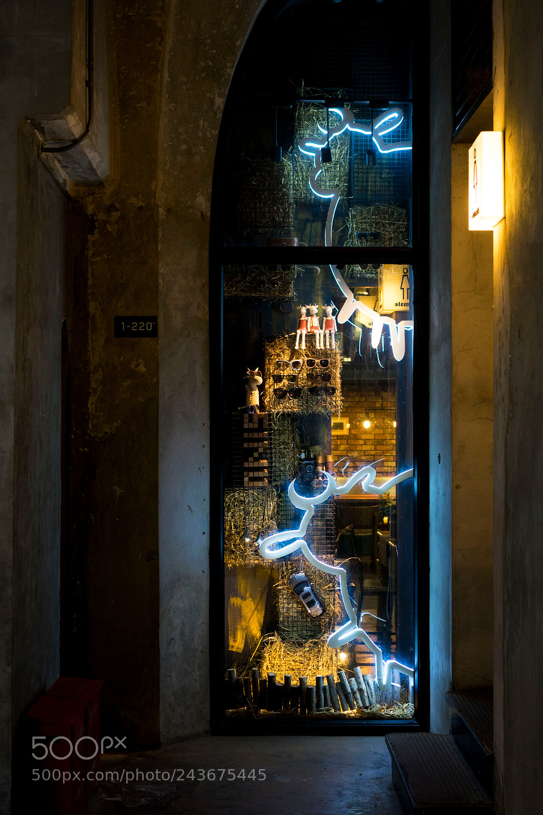 Sony a7 sample photo. Moo moo photography