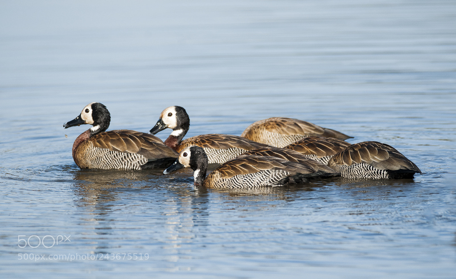 Nikon D300S sample photo. Family outing photography