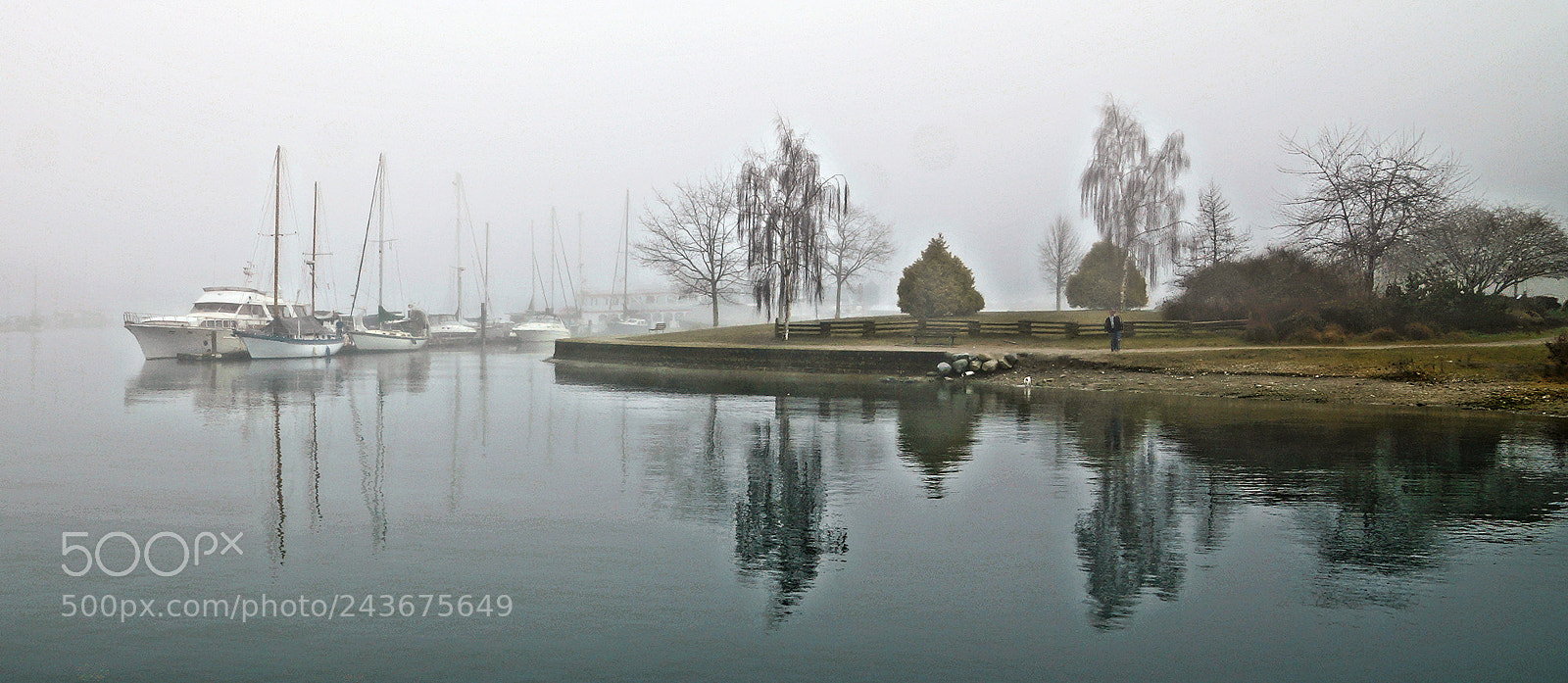 Sony SLT-A77 sample photo. Foggy dawn photography