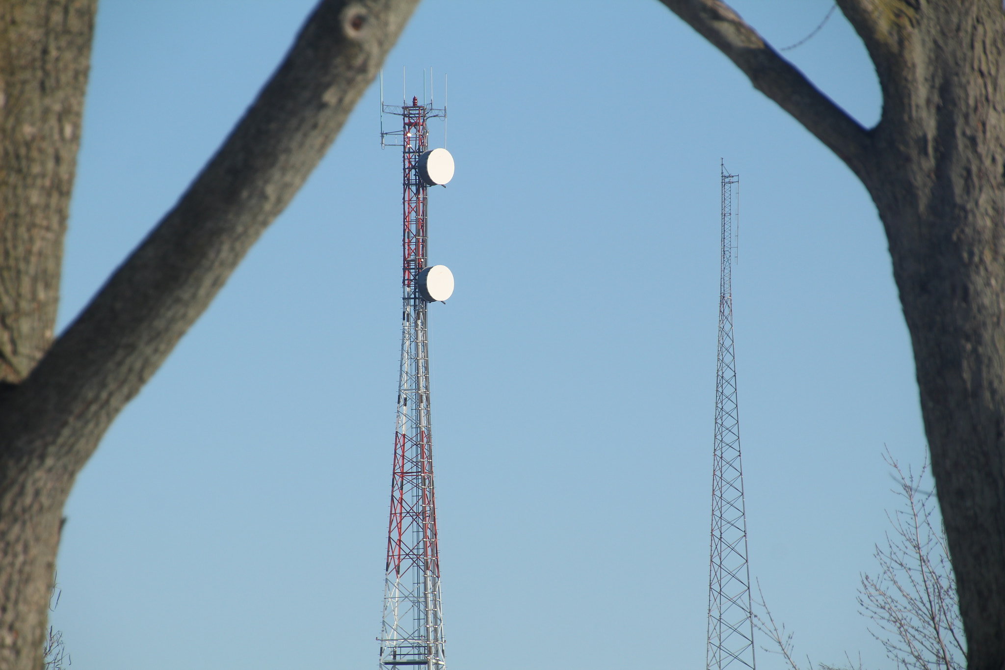 Canon EOS 1200D (EOS Rebel T5 / EOS Kiss X70 / EOS Hi) sample photo. Towers and branches. 塔和分支機構。 torres y ramas. photography