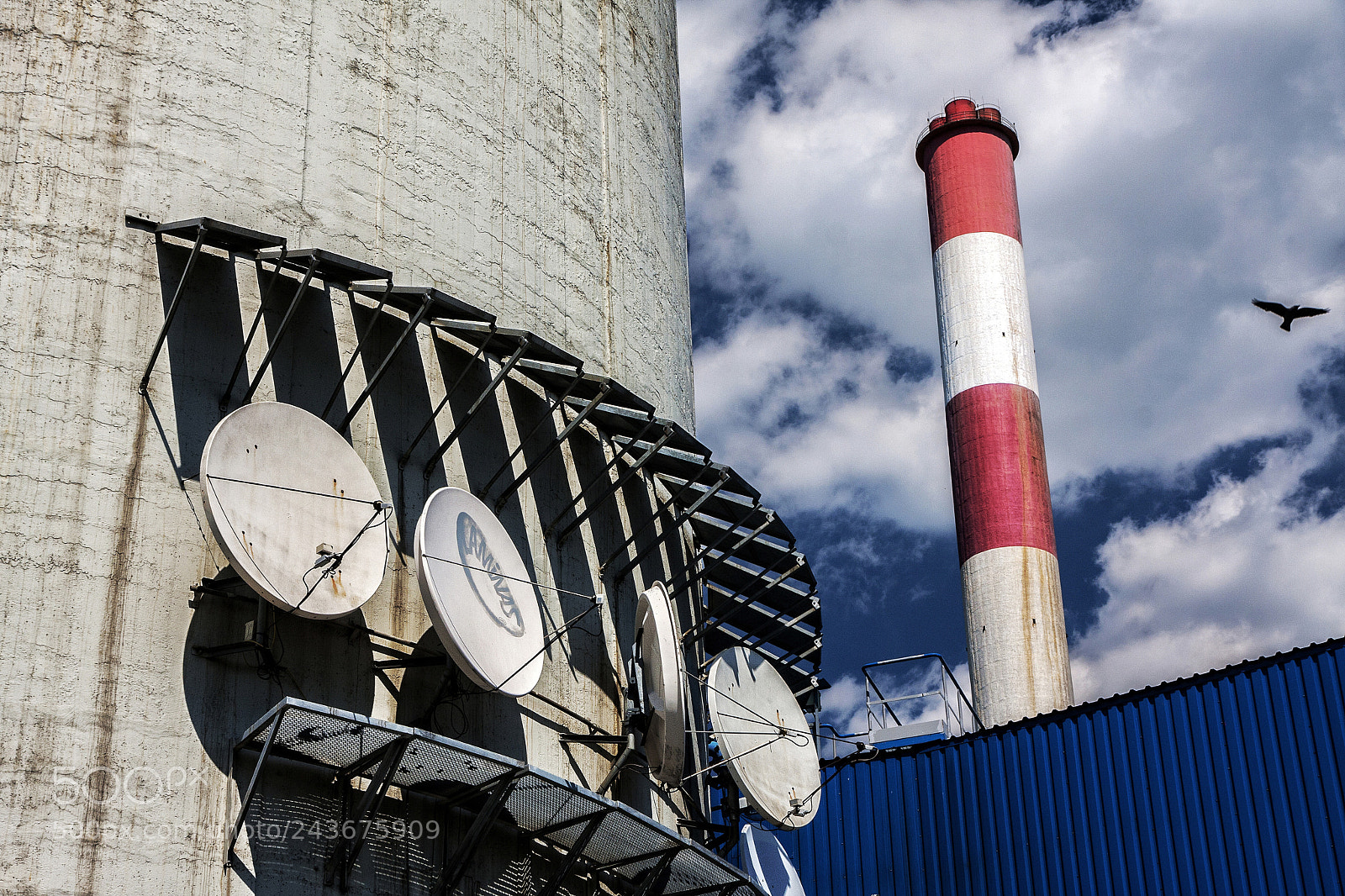 Canon EOS 40D sample photo. The raven arrived from ... photography