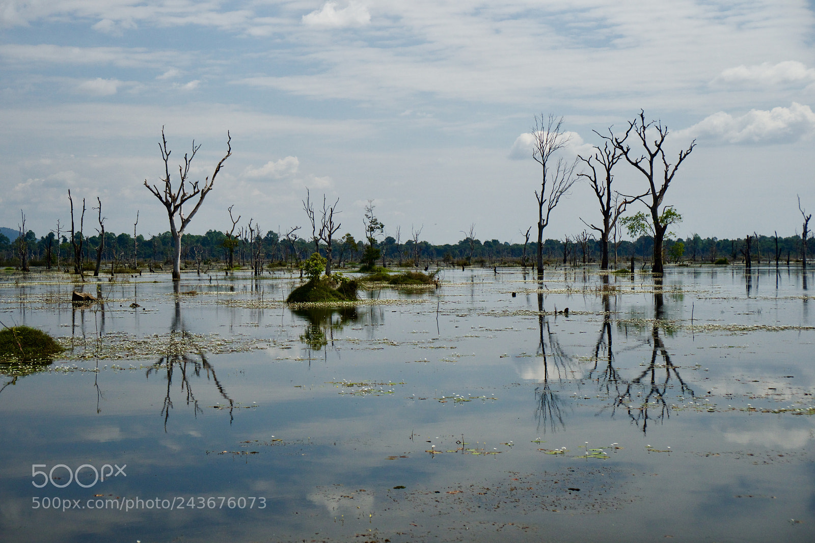 Sony a6300 sample photo. Near jayatataka 1 photography