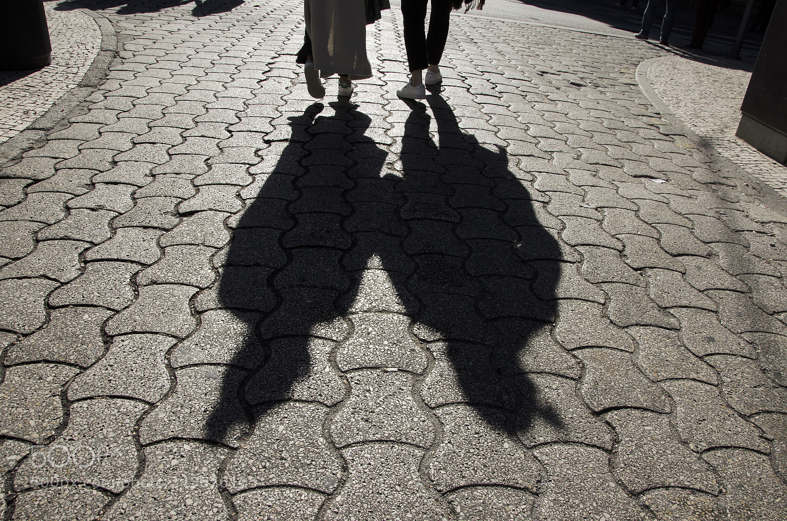 Nikon D5100 sample photo. Shadow's life photography