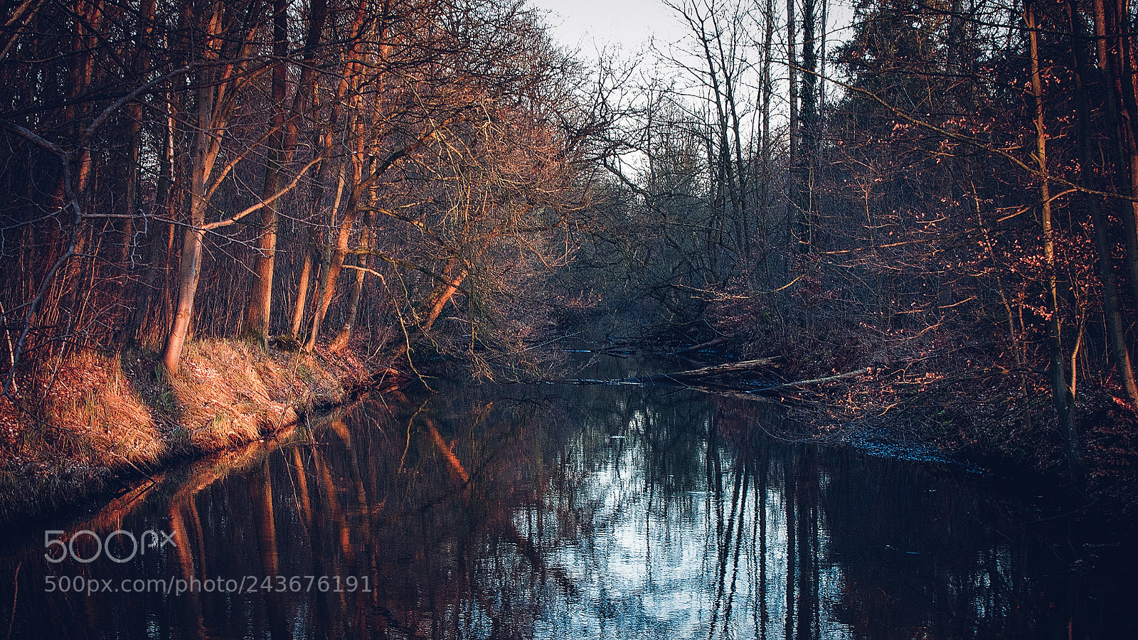 Nikon D5000 sample photo. Golden hour photography
