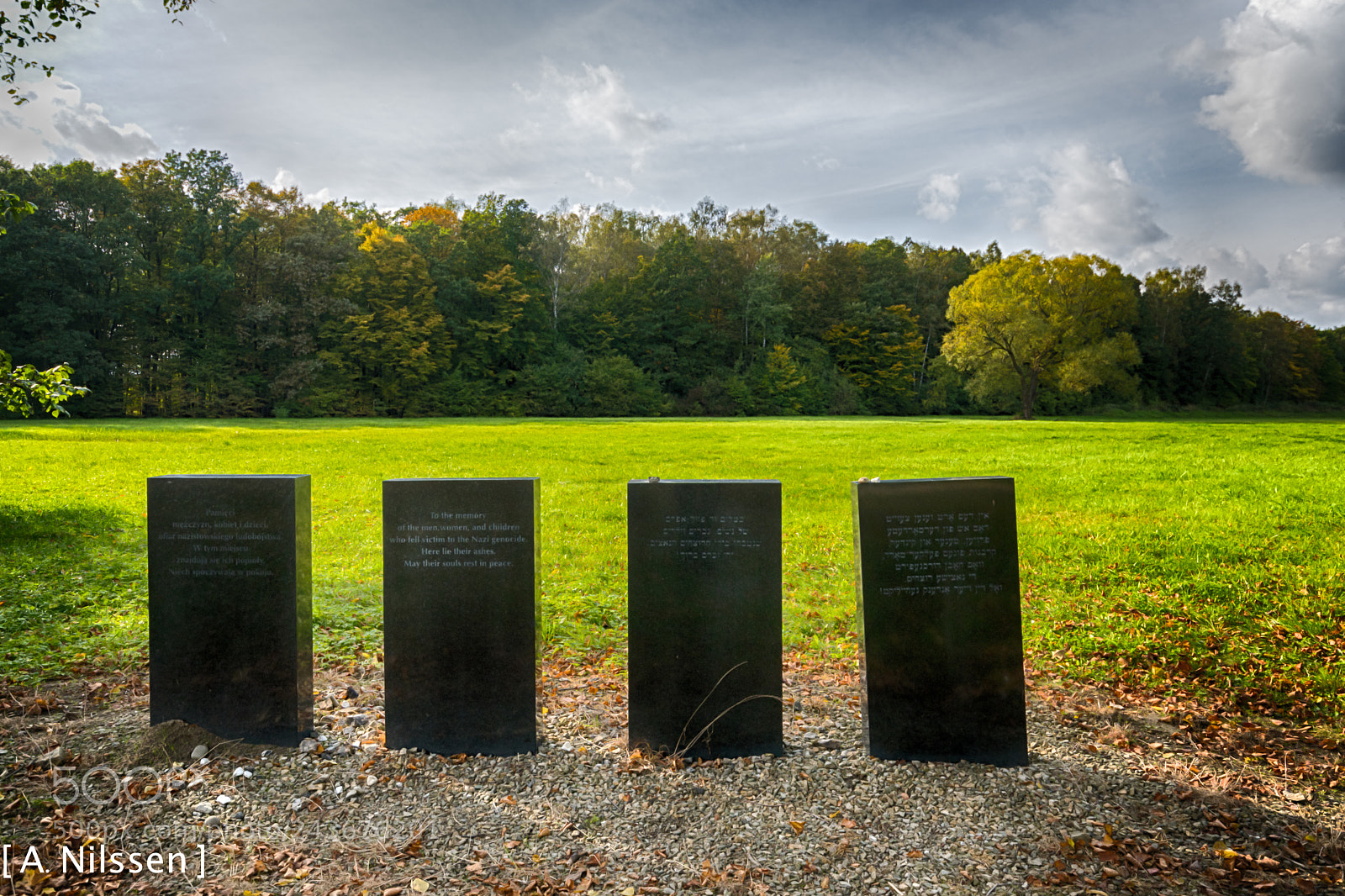 Nikon D500 sample photo. Here lie their ashes #2 photography