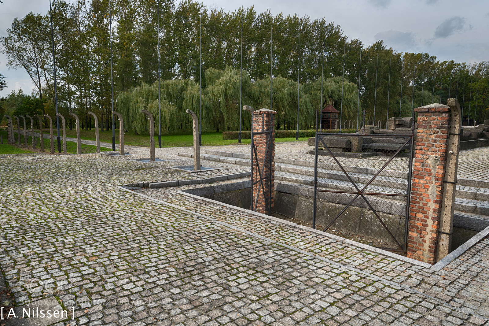 Nikon D500 sample photo. A gate photography