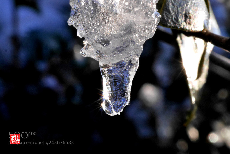 Panasonic Lumix DMC-GX7 sample photo. Ice 0123 photography