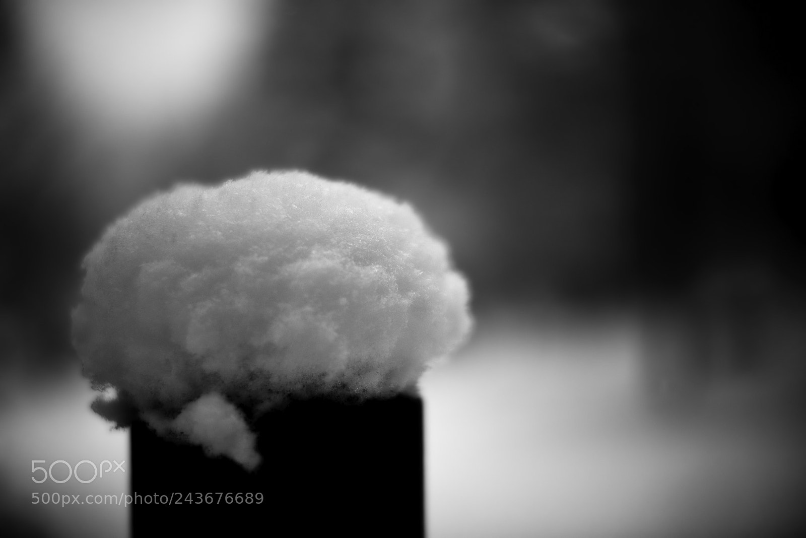 Nikon D800E sample photo. Dreamy snow photography
