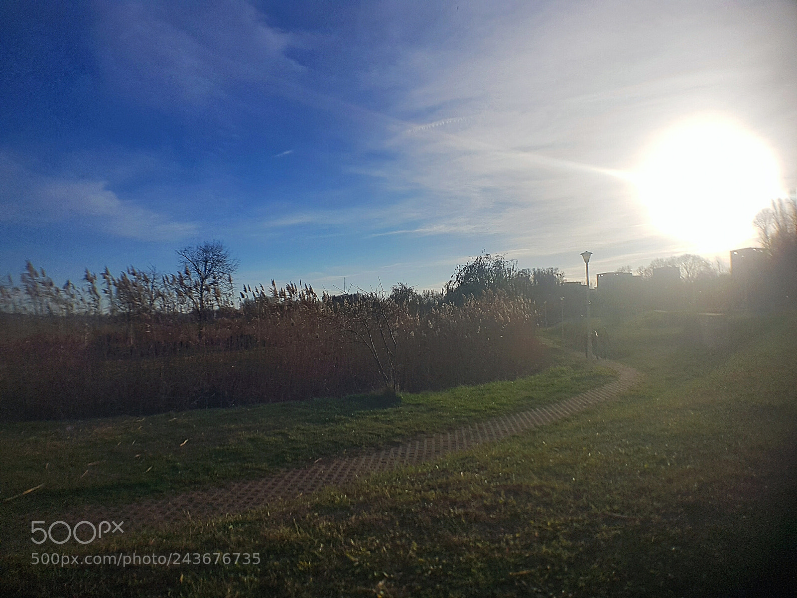 Samsung Galaxy S7 Edge sample photo. Park view in tabacaria photography