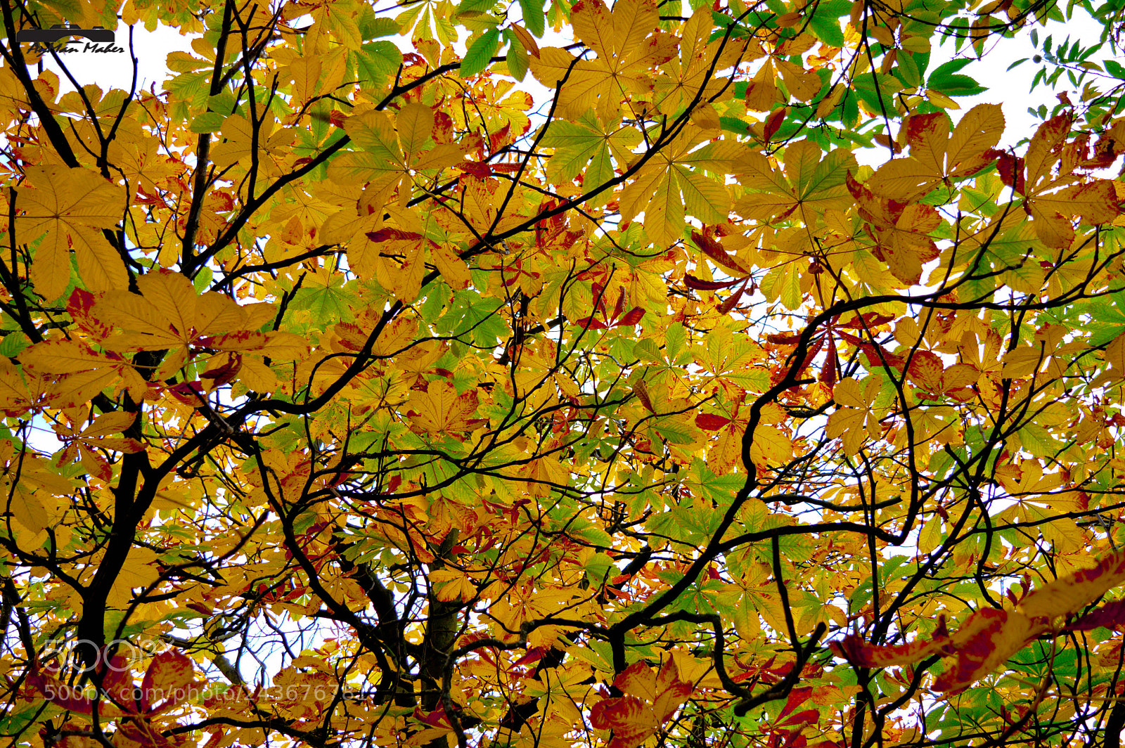 Nikon D3200 sample photo. Dsc photography