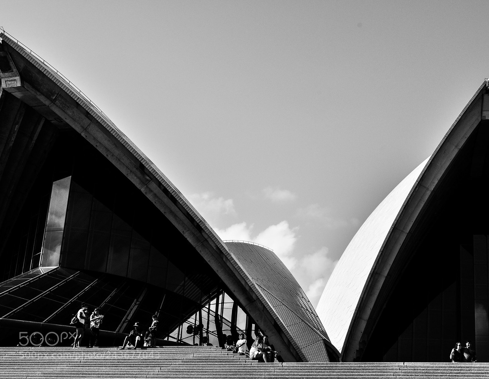 Nikon D5000 sample photo. Untitled photography
