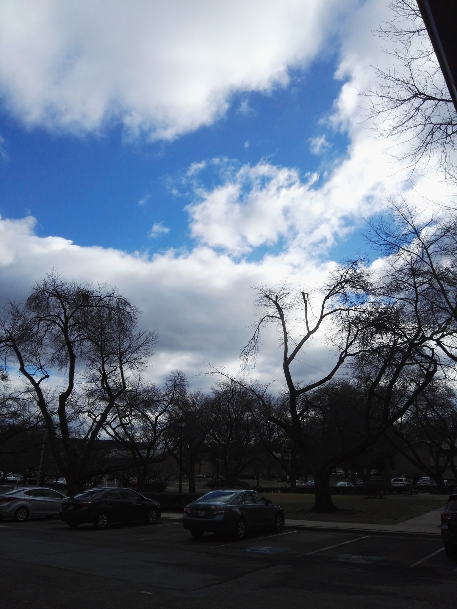 HUAWEI DAV sample photo