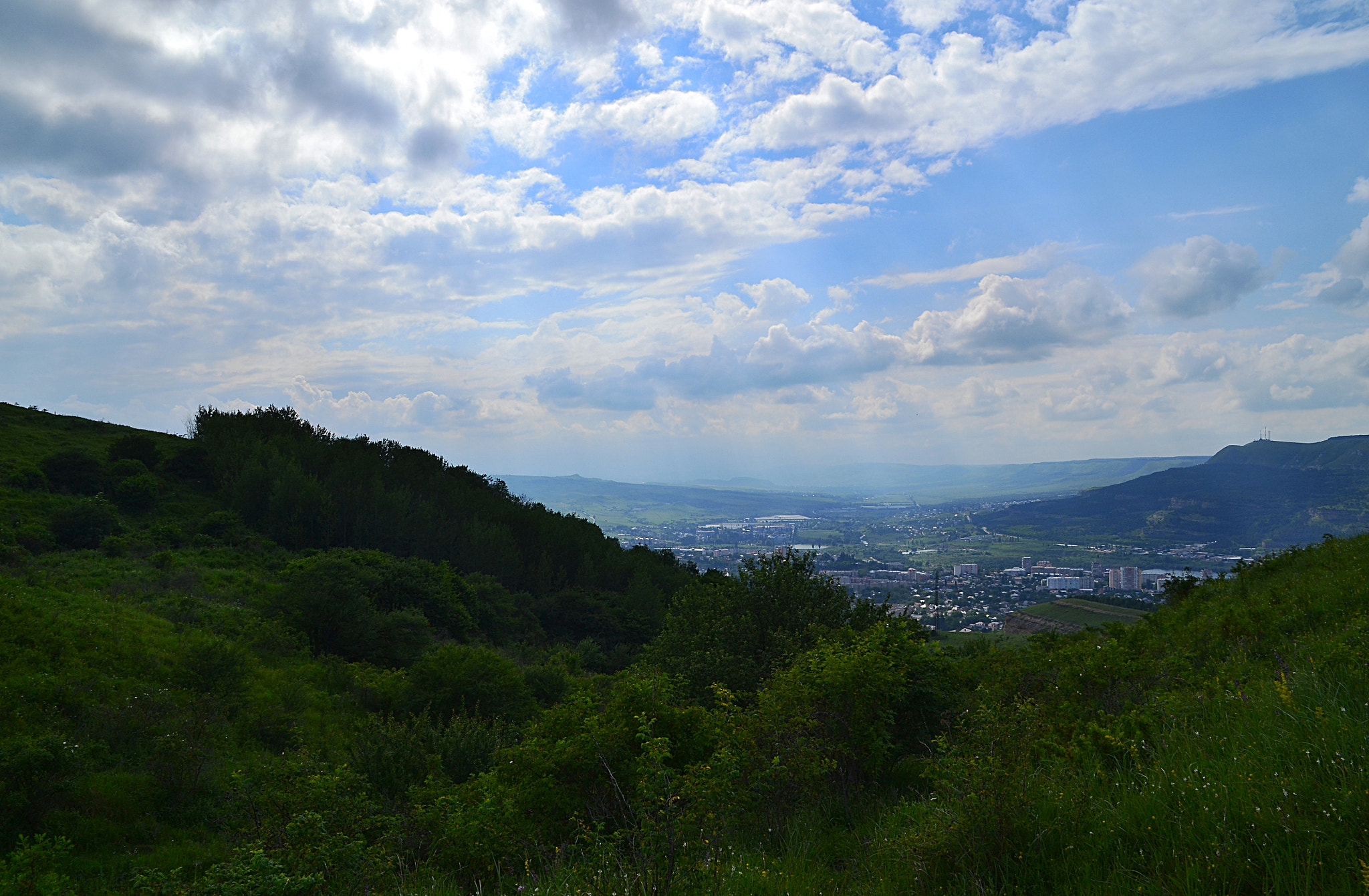 Nikon D3100 sample photo. Basin beyond the greenery photography