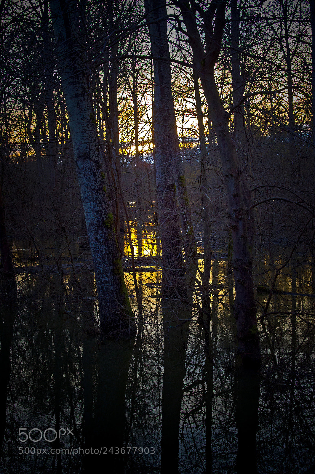 Pentax K-r sample photo. Alle jahre wieder photography