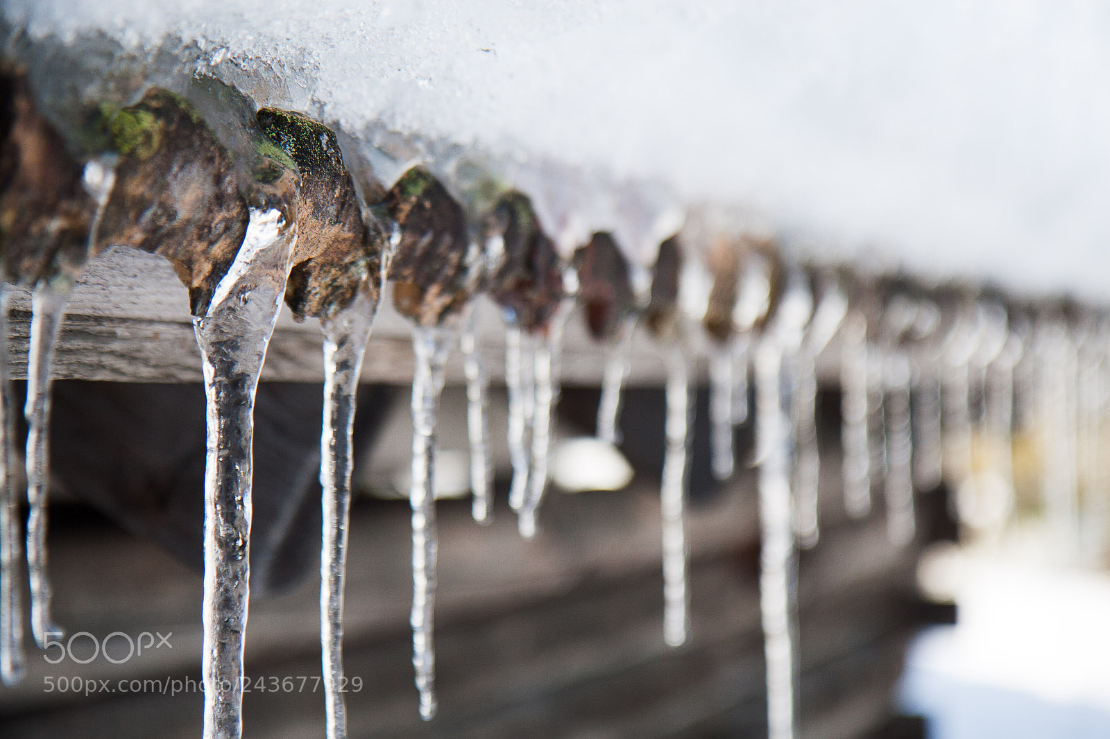 Canon EOS 30D sample photo. Icicles photography