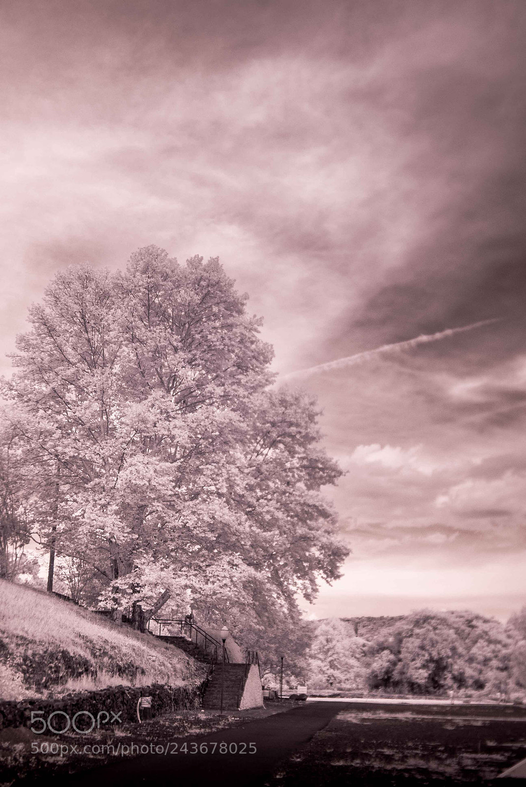 Nikon D80 sample photo. Infrared photography