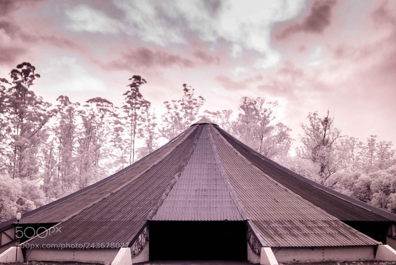 Nikon D80 sample photo. Infrared photography