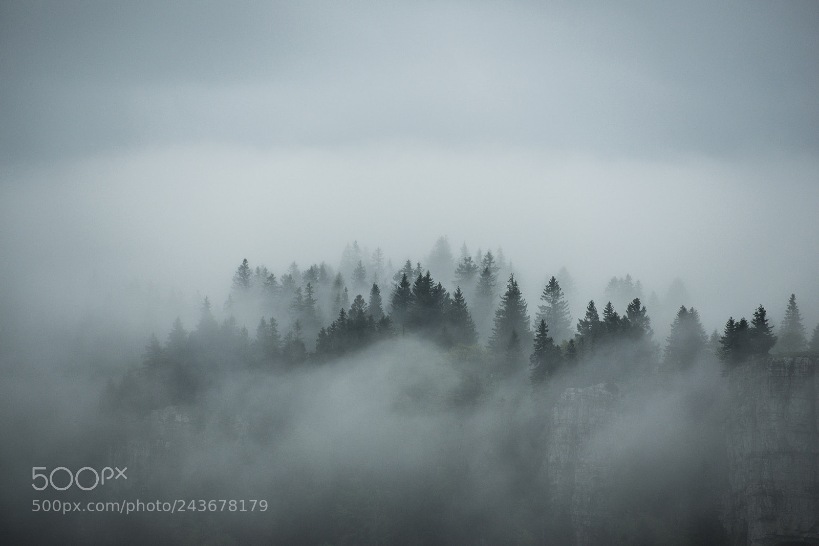 Nikon D800 sample photo. Der nebel trifft ein photography