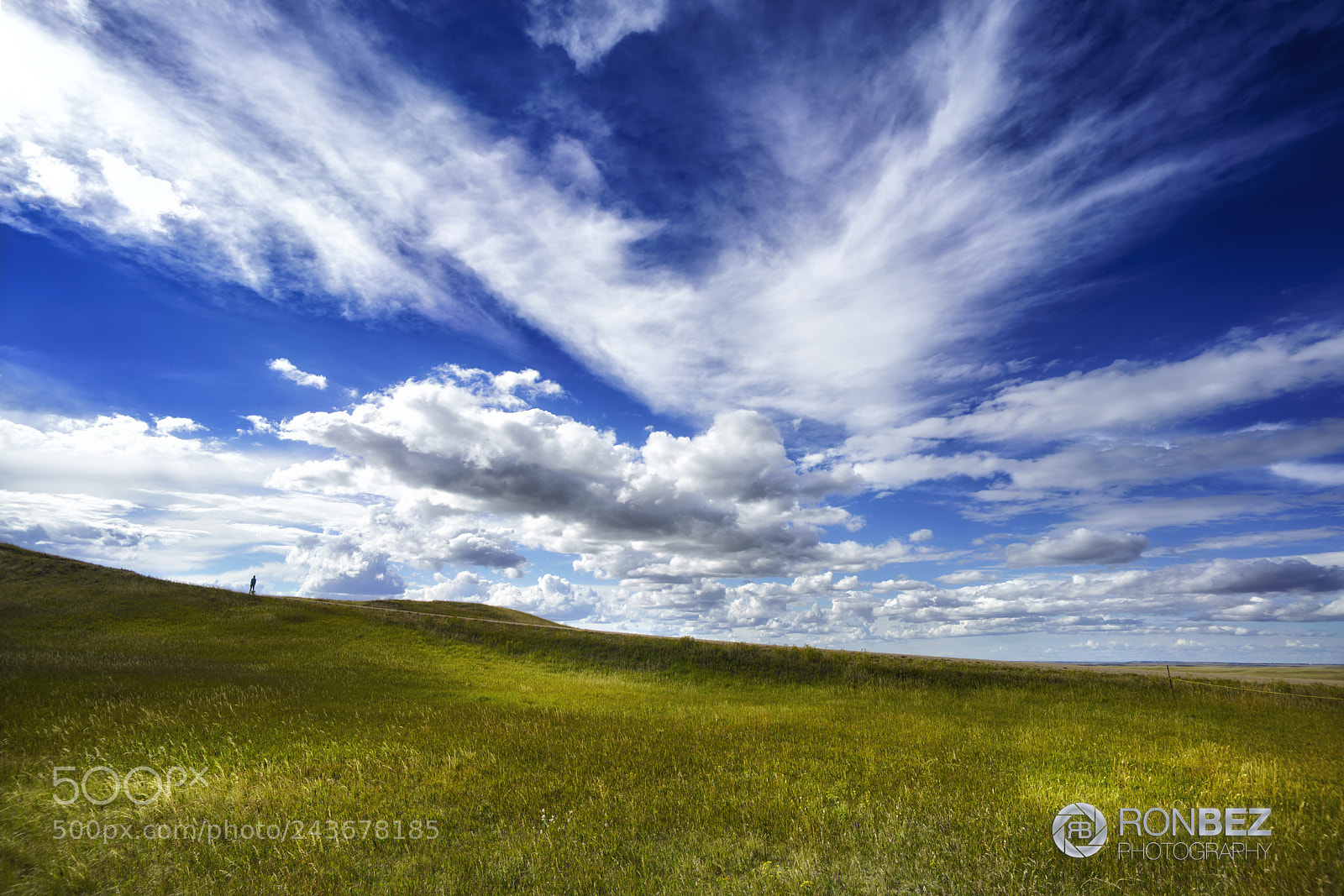 Sony a7R II sample photo. Grasslands sparkle photography