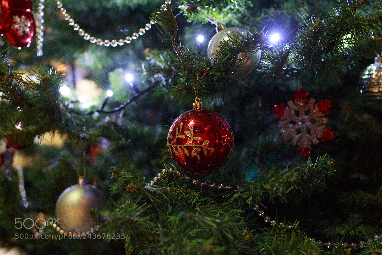 Canon EOS 650D (EOS Rebel T4i / EOS Kiss X6i) sample photo. Christmas tree photography