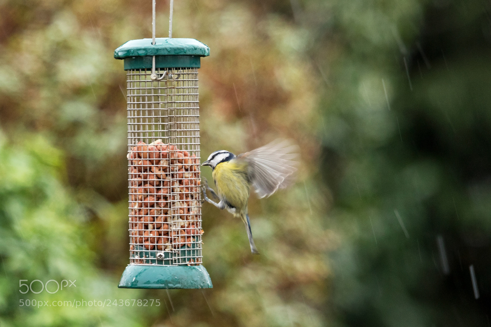 Canon EOS 7D Mark II sample photo. Fly off photography
