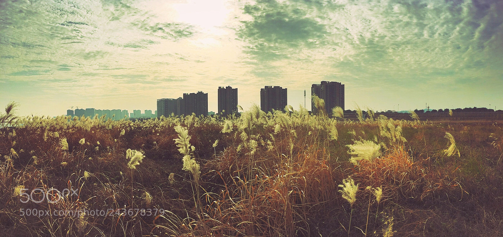Apple iPhone 6s sample photo. 湖南长沙 photography