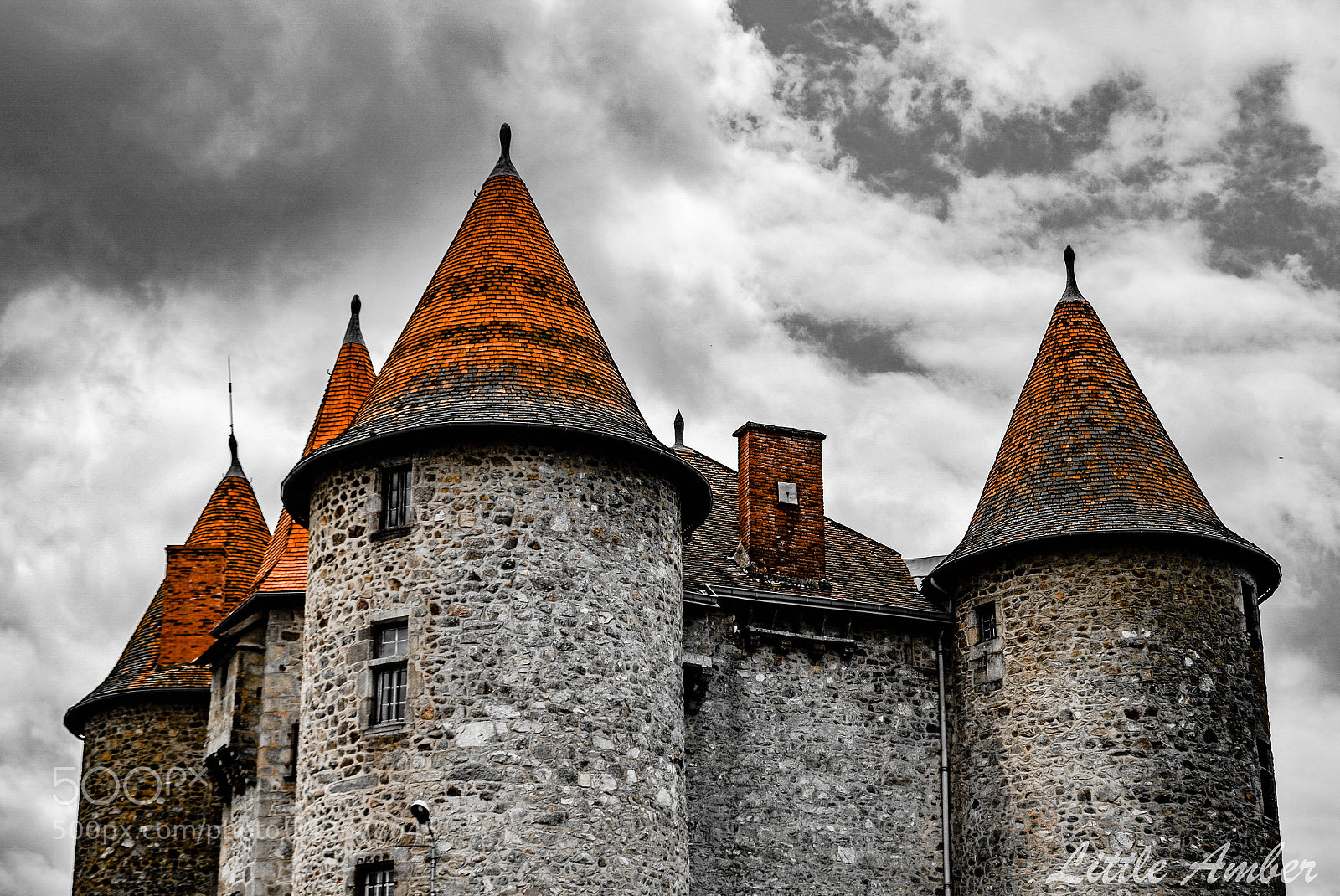 Nikon D5100 sample photo. Chateau photography