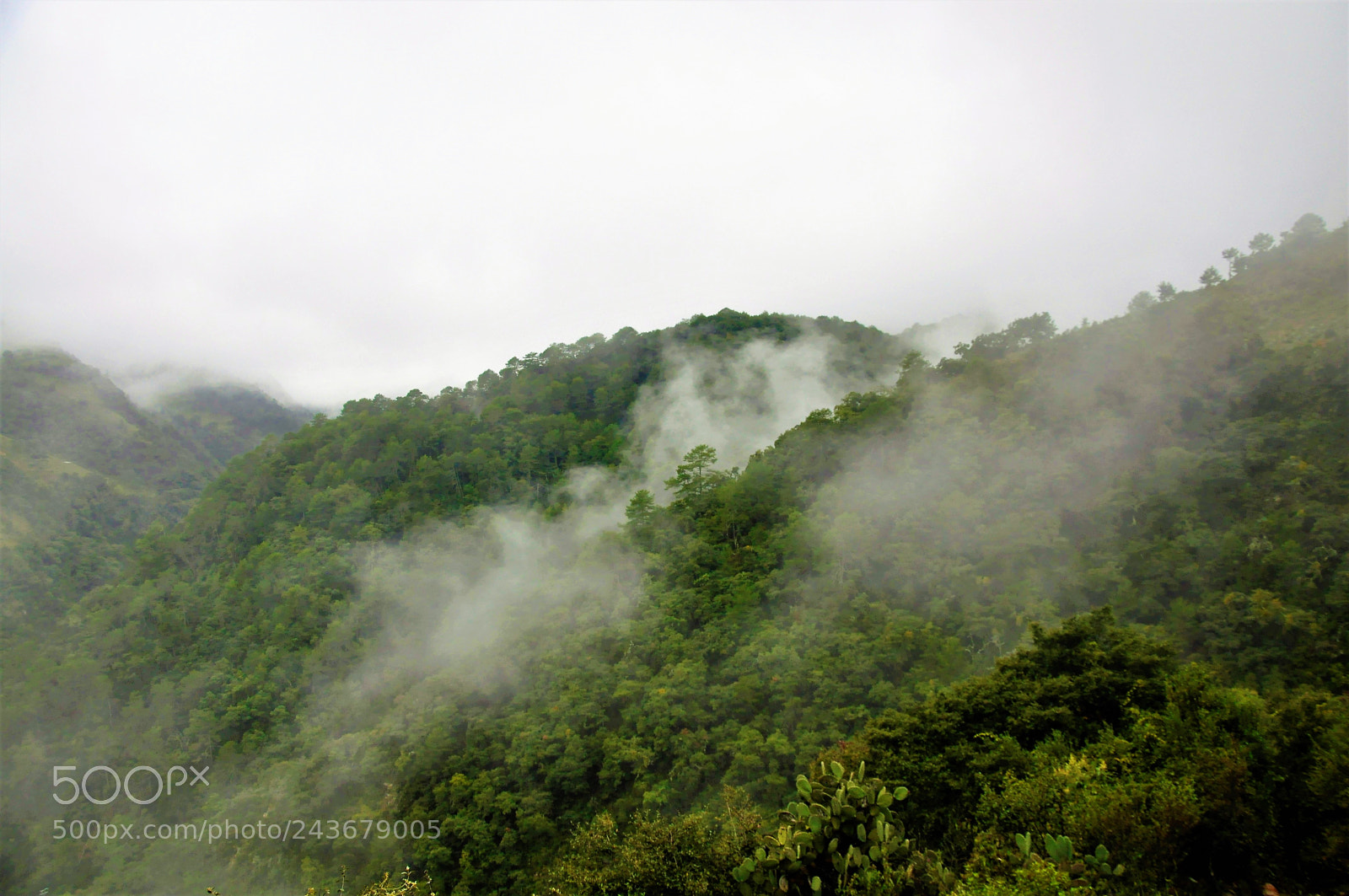 Nikon D90 sample photo. Sierra gorda photography