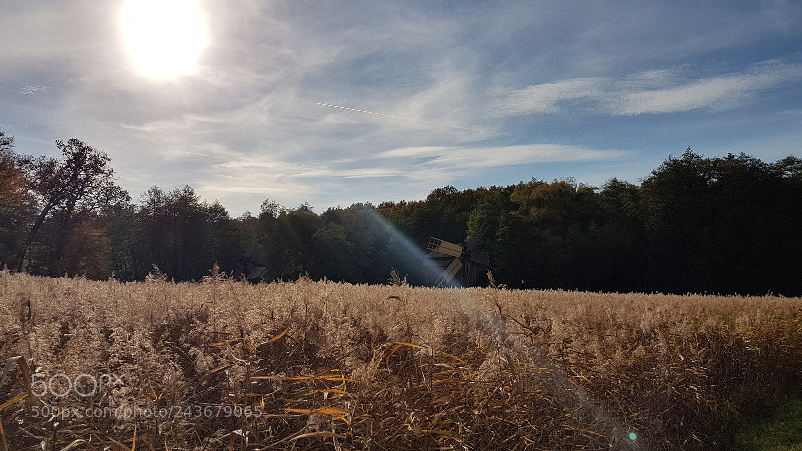 Samsung Galaxy S7 Edge sample photo. Windmill on field photography