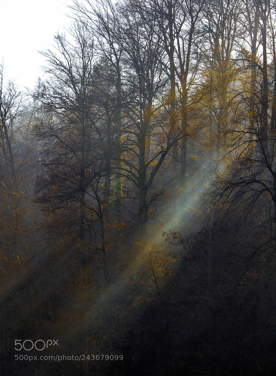 Nikon D5100 sample photo. Sunlight photography