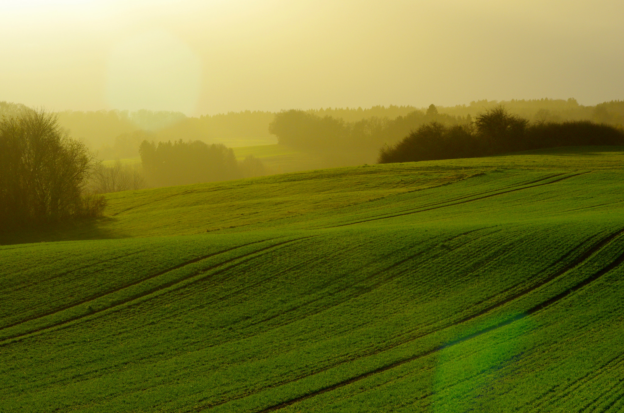 Pentax K-5 sample photo. Landscape in green photography