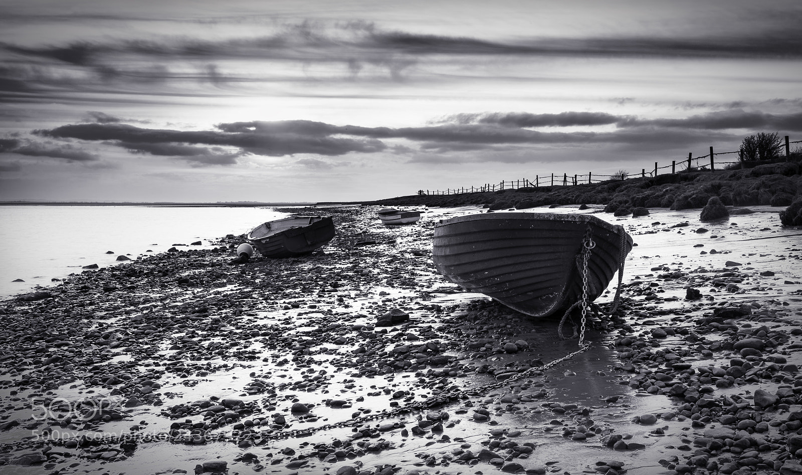 Nikon D810 sample photo. Sarkfoot photography