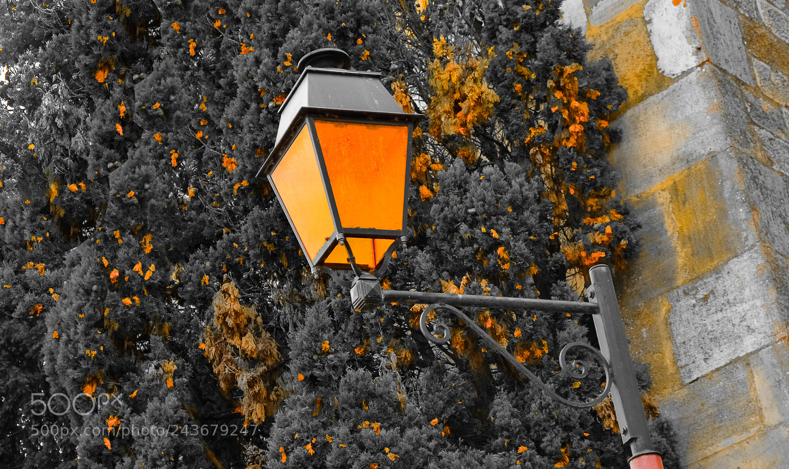 Nikon D5100 sample photo. Cartes postales photography