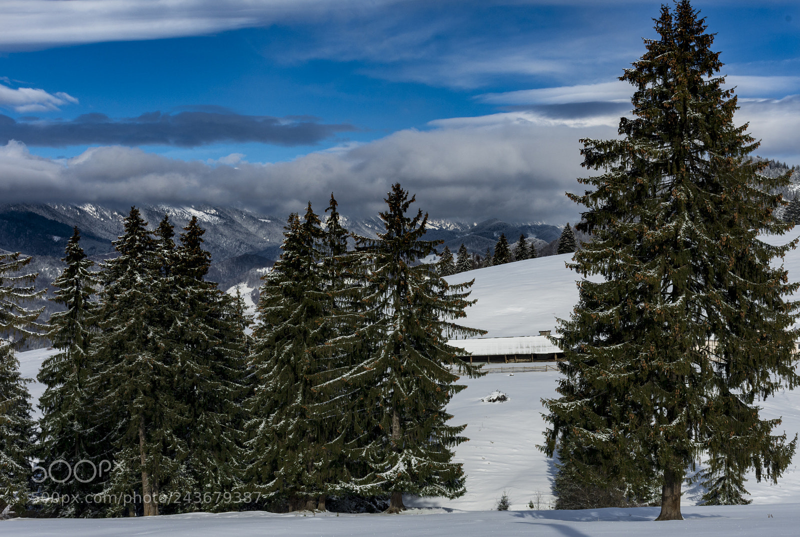 Nikon D7200 sample photo. My face tingles with photography