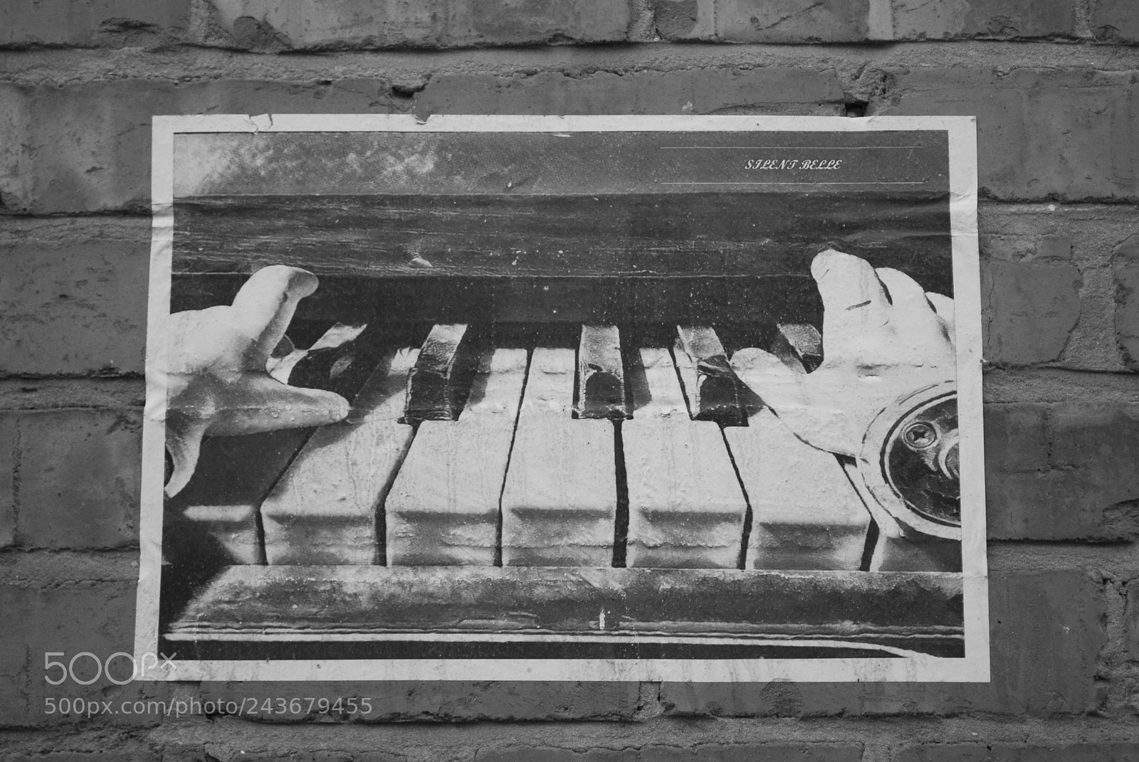 Nikon D60 sample photo. Melodic bricks photography