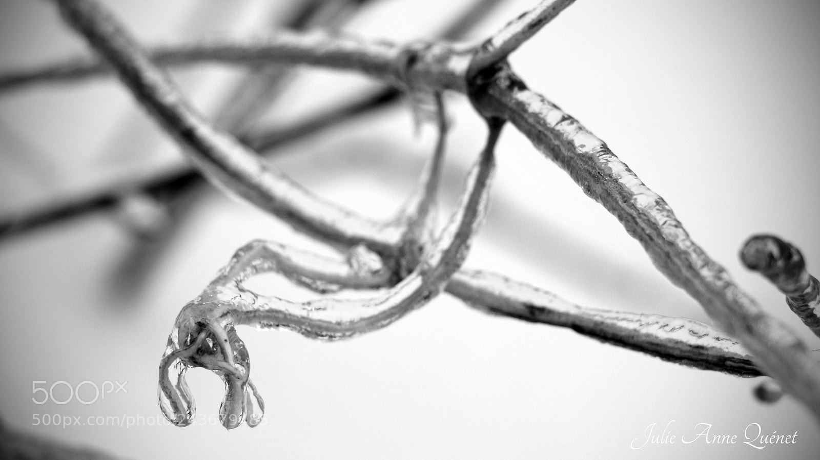 Canon EOS 650D (EOS Rebel T4i / EOS Kiss X6i) sample photo. Dentelle de glace photography