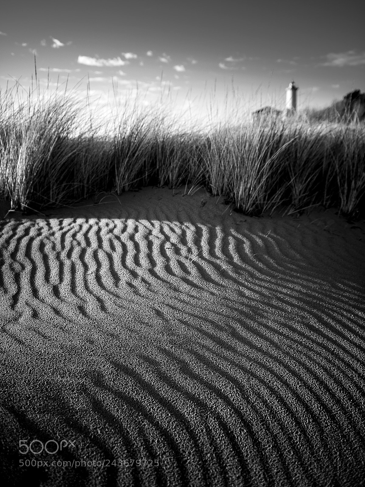 Nikon D810 sample photo. Bibione photography