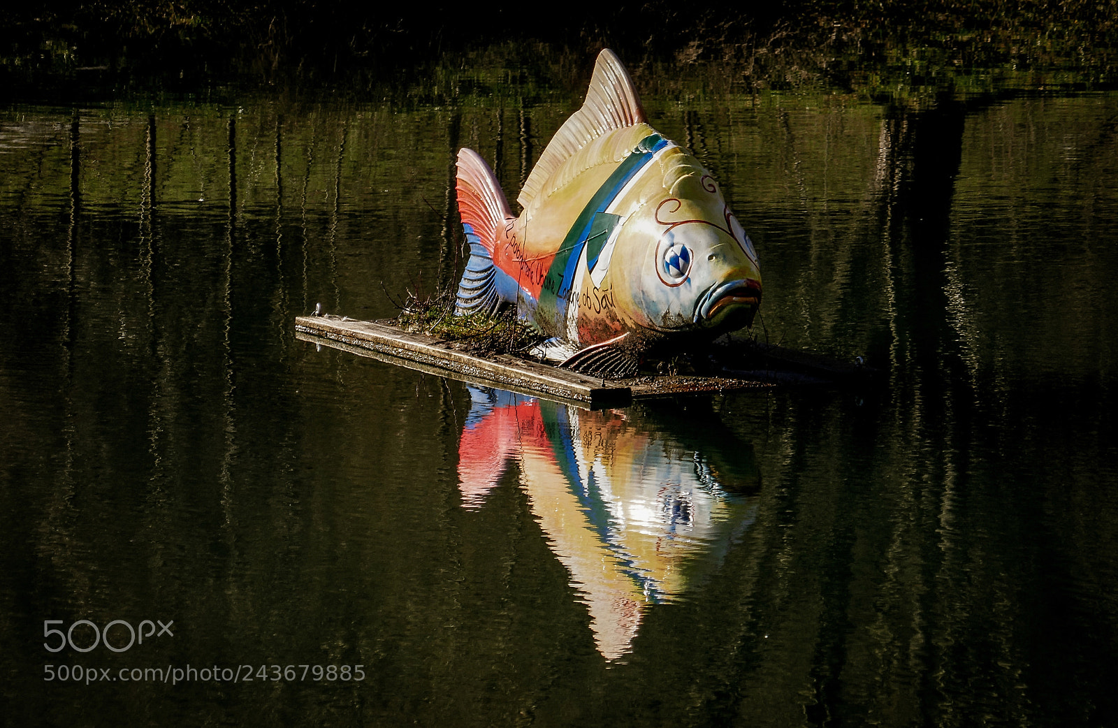 Panasonic Lumix DMC-ZS100 (Lumix DMC-TZ100) sample photo. Fish mirror photography