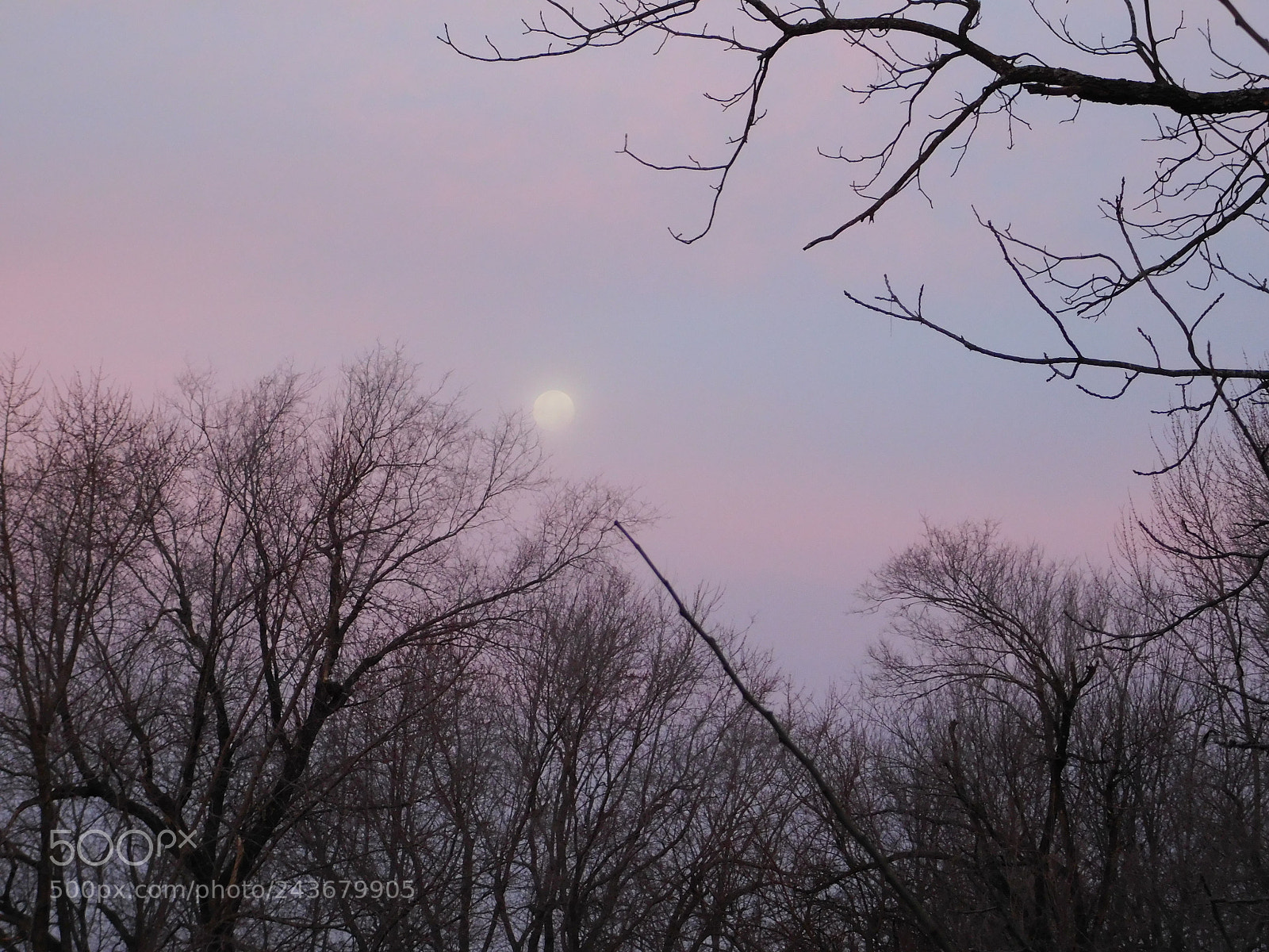 Nikon Coolpix B500 sample photo. Supermoon morning photography