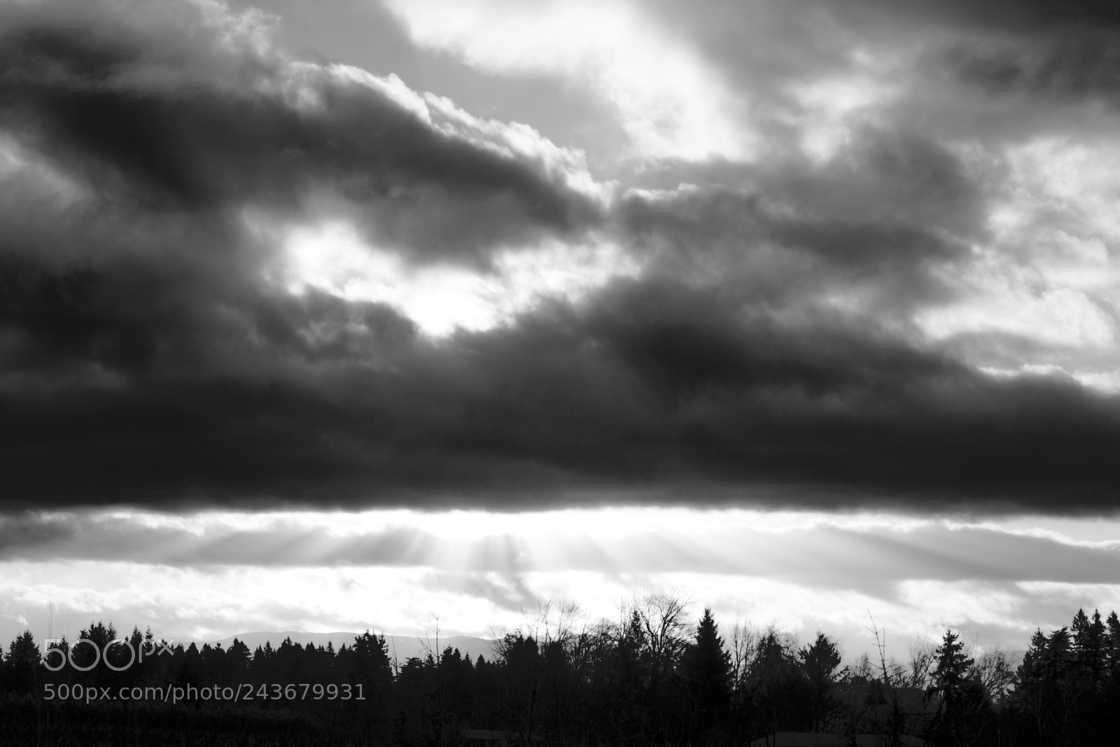 Nikon D7200 sample photo. Dramatic skies photography