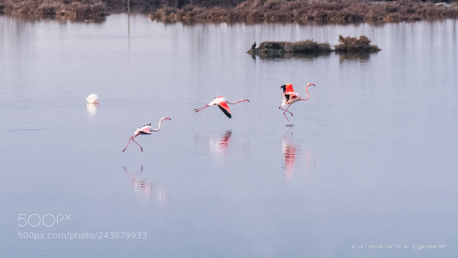 Sony a7 II sample photo. Landing photography