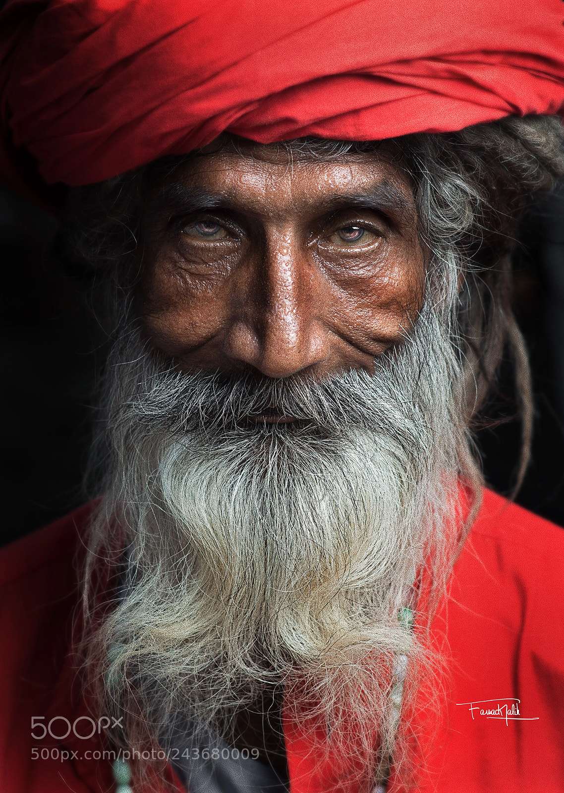 Nikon D800E sample photo. Malang iv photography