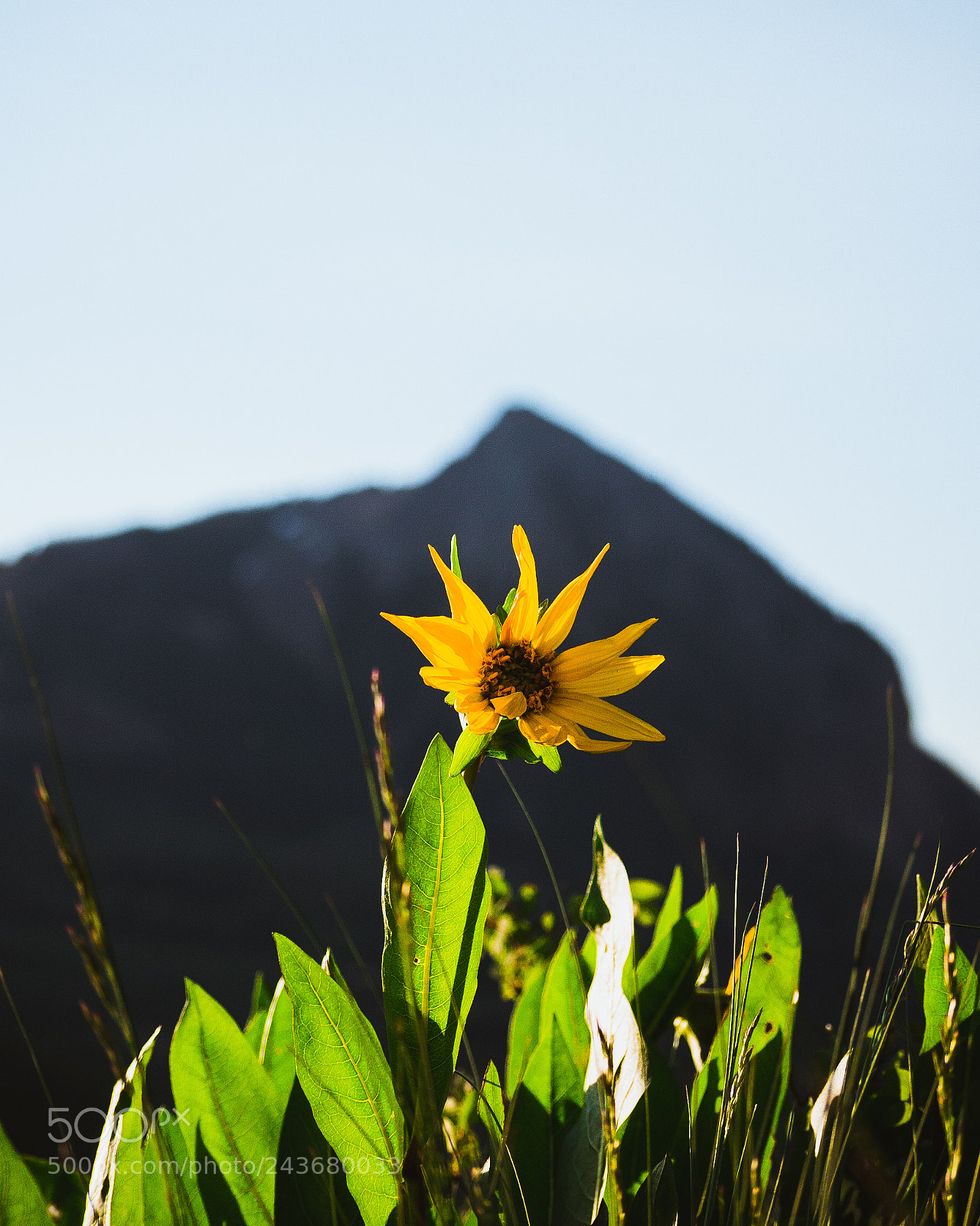 Panasonic Lumix DMC-GH4 sample photo. Peace and love photography
