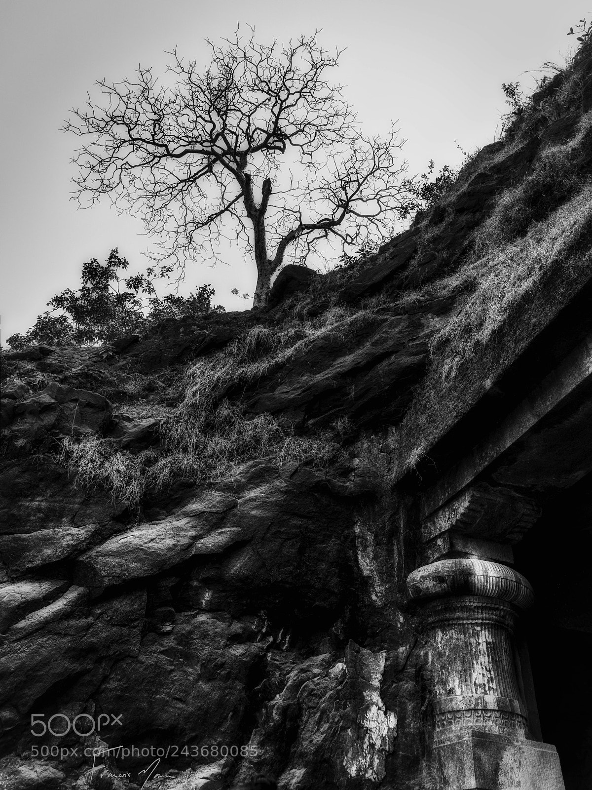 Sony a7R II sample photo. Arbre et colonnade photography