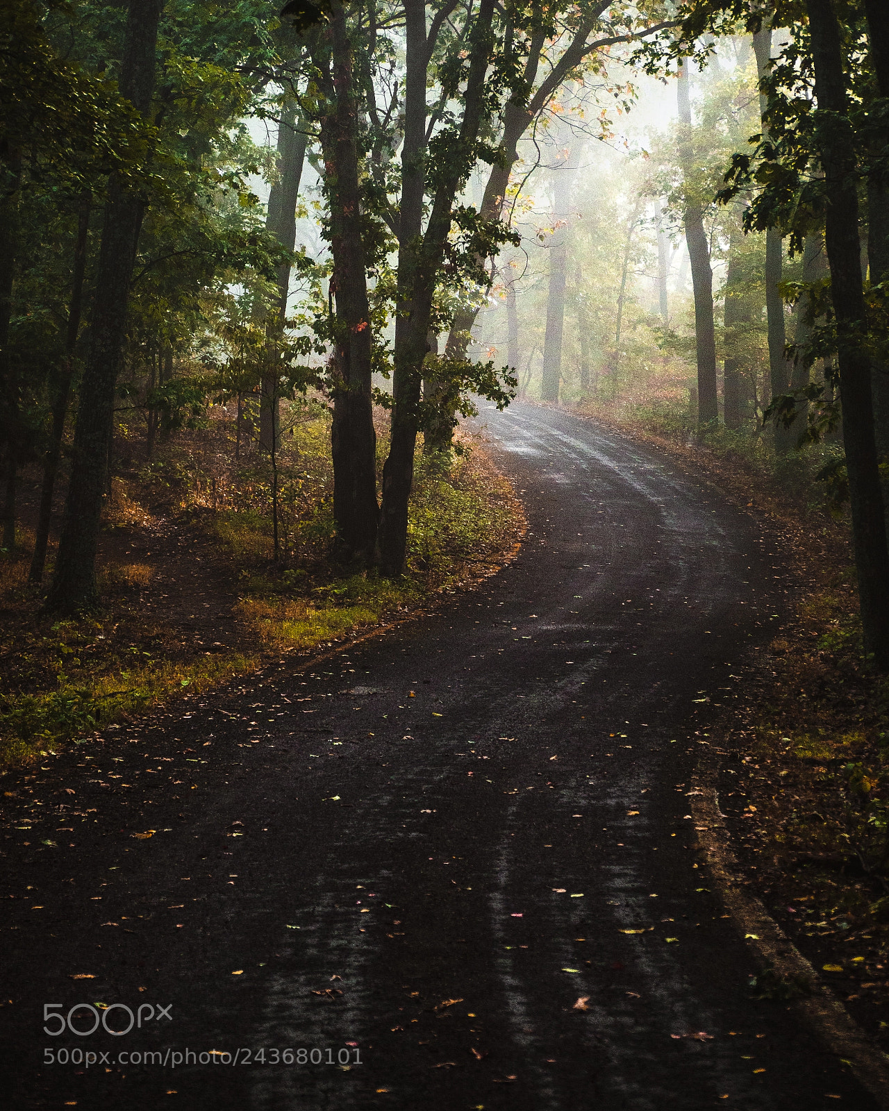 Panasonic Lumix DMC-GH4 sample photo. Road to heaven photography