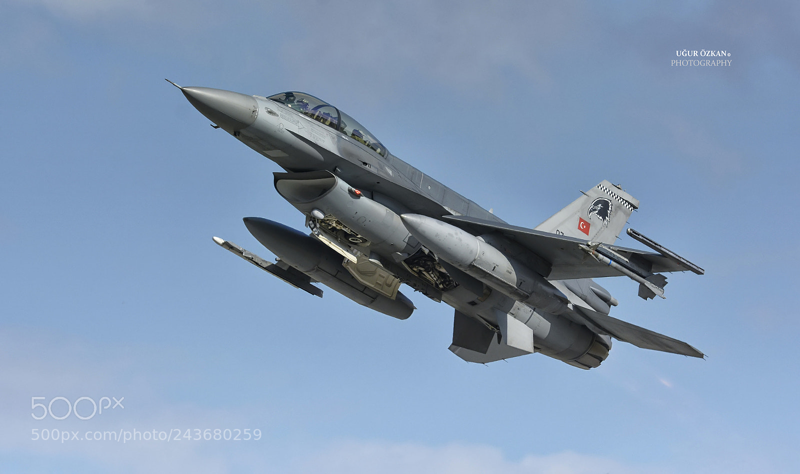 Nikon D7100 sample photo. Fighter photography