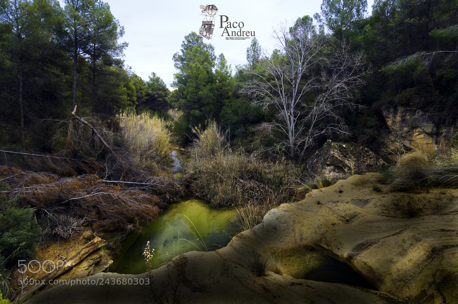 Nikon D3200 sample photo. El tollo photography