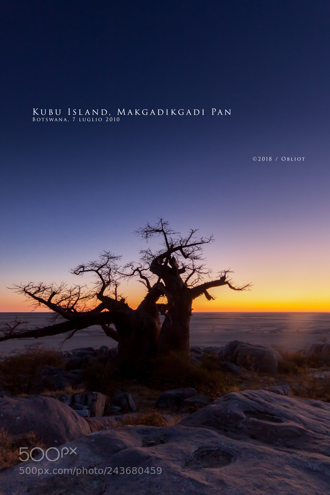 Canon EOS 50D sample photo. Kubu island, makgadikgadi pan photography