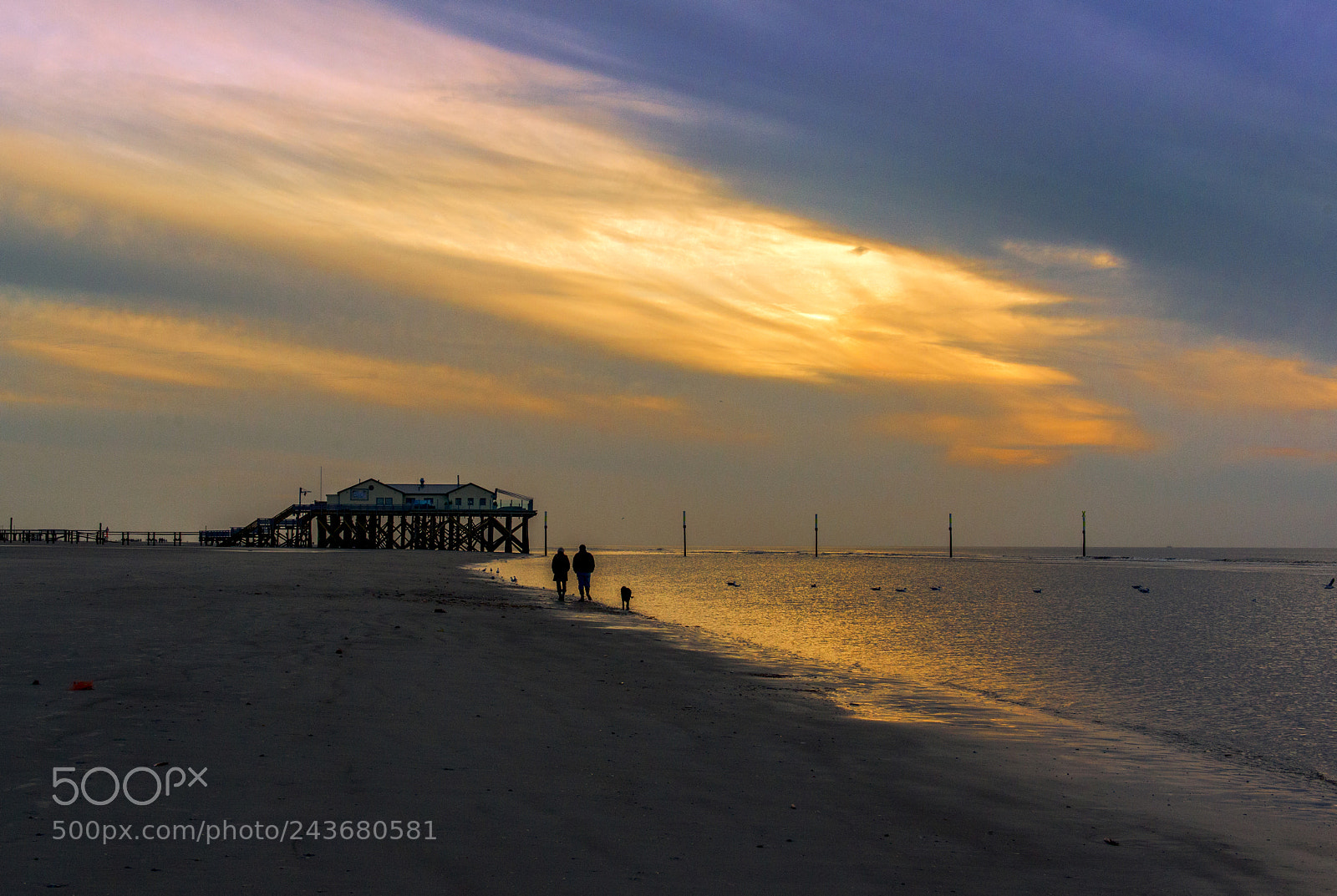 Nikon D800 sample photo. Walking along the coastline photography