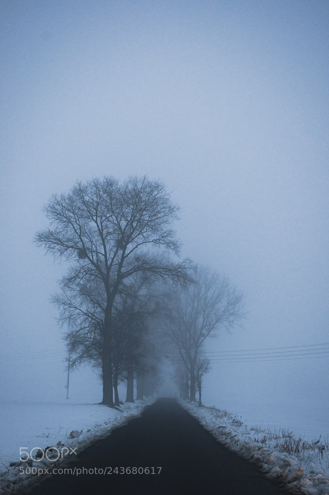 Nikon D90 sample photo. Foggy photography